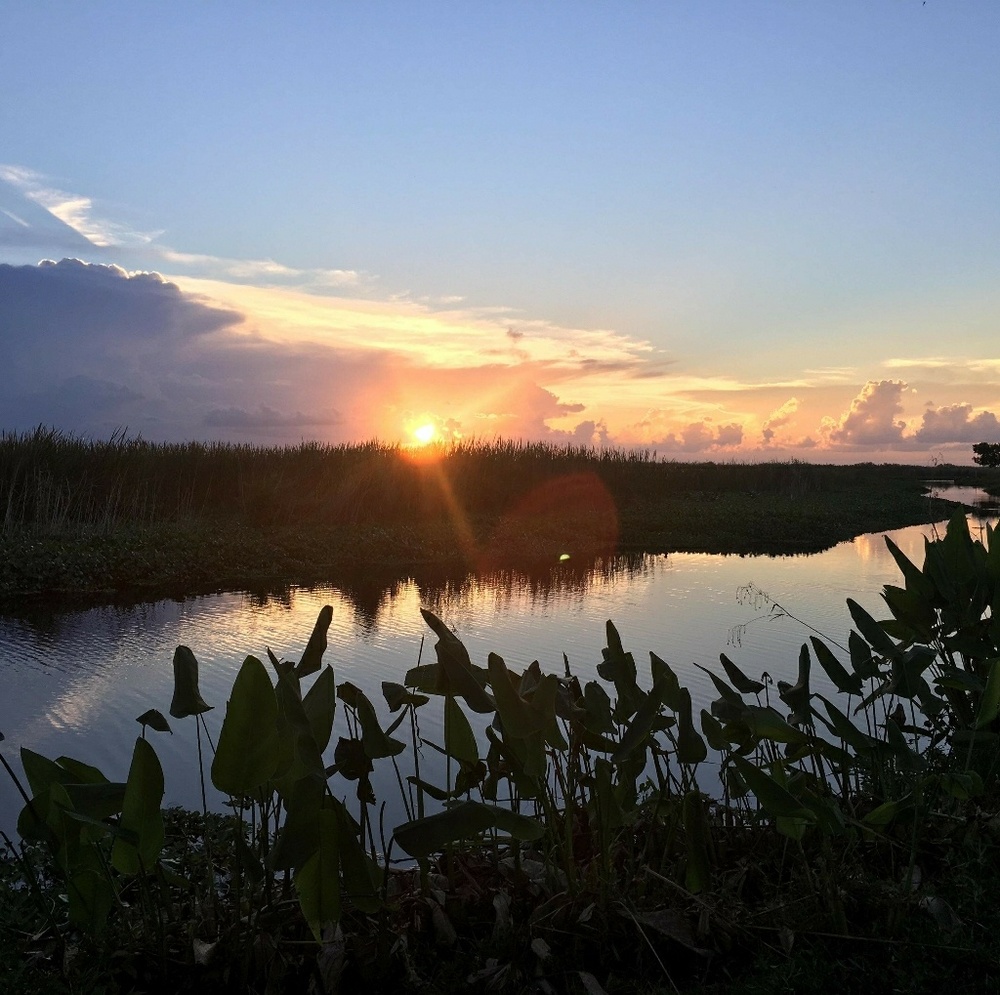 Meet your Posher, Hayden